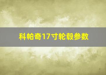 科帕奇17寸轮毂参数