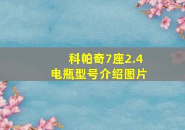 科帕奇7座2.4电瓶型号介绍图片