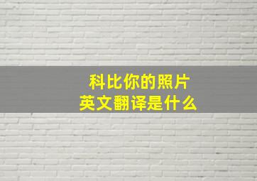 科比你的照片英文翻译是什么