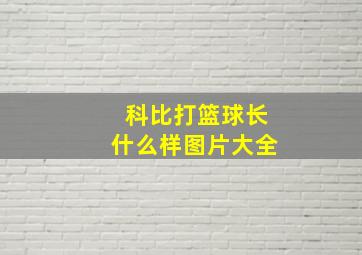 科比打篮球长什么样图片大全