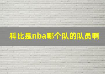 科比是nba哪个队的队员啊