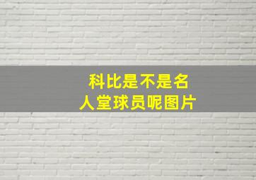 科比是不是名人堂球员呢图片