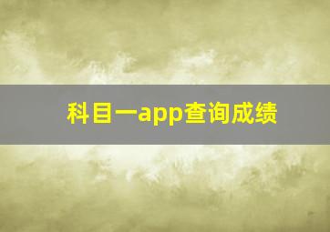 科目一app查询成绩