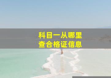 科目一从哪里查合格证信息