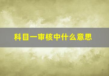 科目一审核中什么意思