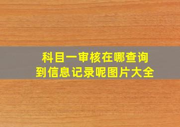 科目一审核在哪查询到信息记录呢图片大全