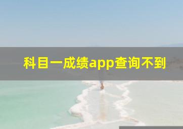 科目一成绩app查询不到