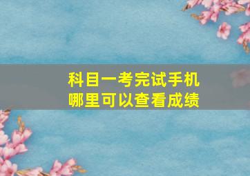 科目一考完试手机哪里可以查看成绩