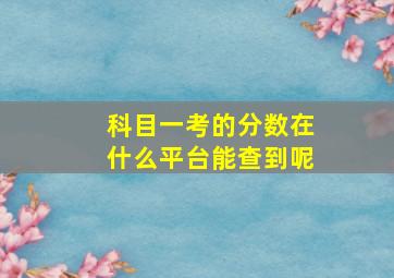 科目一考的分数在什么平台能查到呢