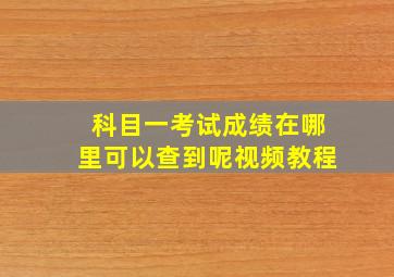 科目一考试成绩在哪里可以查到呢视频教程