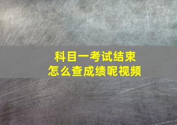 科目一考试结束怎么查成绩呢视频