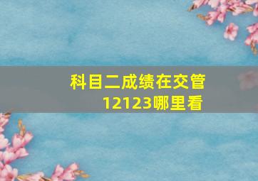 科目二成绩在交管12123哪里看