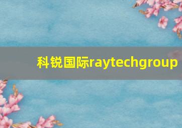 科锐国际raytechgroup