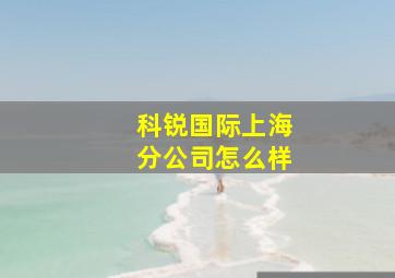 科锐国际上海分公司怎么样