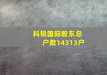 科锐国际股东总户数14313户