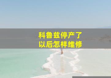 科鲁兹停产了以后怎样维修