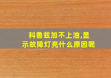 科鲁兹加不上油,显示故障灯亮什么原因呢