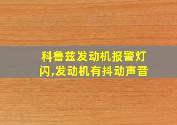 科鲁兹发动机报警灯闪,发动机有抖动声音