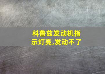 科鲁兹发动机指示灯亮,发动不了