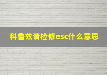 科鲁兹请检修esc什么意思