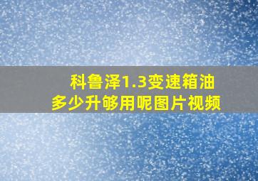 科鲁泽1.3变速箱油多少升够用呢图片视频