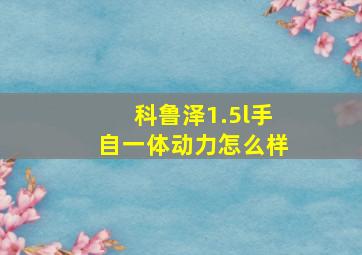 科鲁泽1.5l手自一体动力怎么样