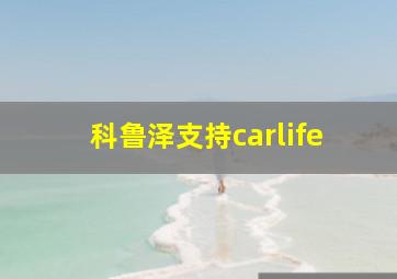 科鲁泽支持carlife