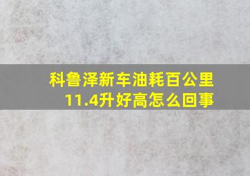 科鲁泽新车油耗百公里11.4升好高怎么回事