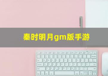 秦时明月gm版手游