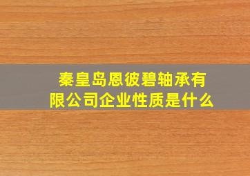 秦皇岛恩彼碧轴承有限公司企业性质是什么