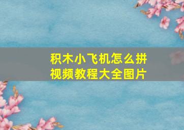 积木小飞机怎么拼视频教程大全图片