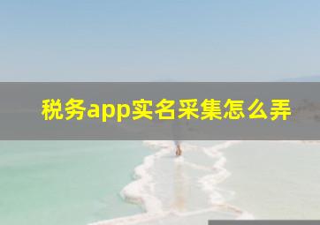 税务app实名采集怎么弄