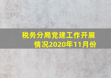 税务分局党建工作开展情况2020年11月份