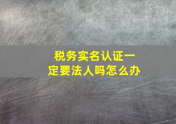 税务实名认证一定要法人吗怎么办