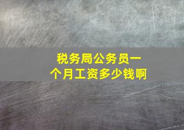 税务局公务员一个月工资多少钱啊