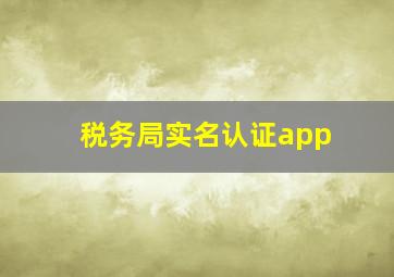 税务局实名认证app