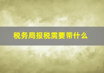 税务局报税需要带什么