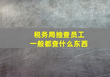 税务局抽查员工一般都查什么东西