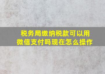 税务局缴纳税款可以用微信支付吗现在怎么操作