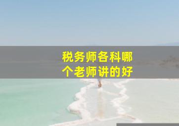 税务师各科哪个老师讲的好