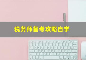 税务师备考攻略自学