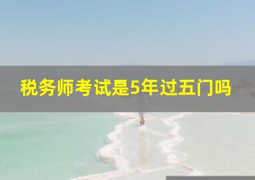 税务师考试是5年过五门吗