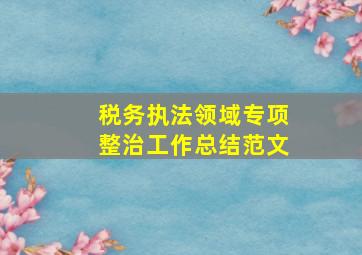 税务执法领域专项整治工作总结范文