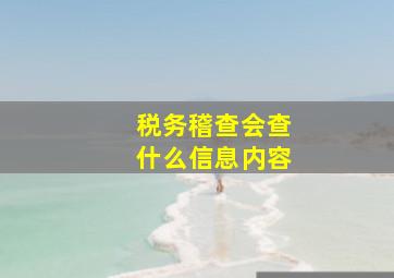 税务稽查会查什么信息内容