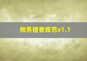 税务稽查规范v1.1