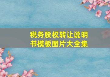 税务股权转让说明书模板图片大全集