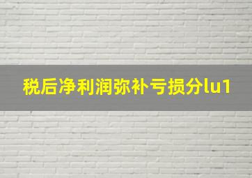 税后净利润弥补亏损分lu1