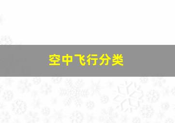 空中飞行分类