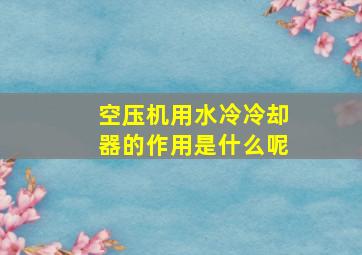 空压机用水冷冷却器的作用是什么呢