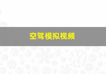 空驾模拟视频